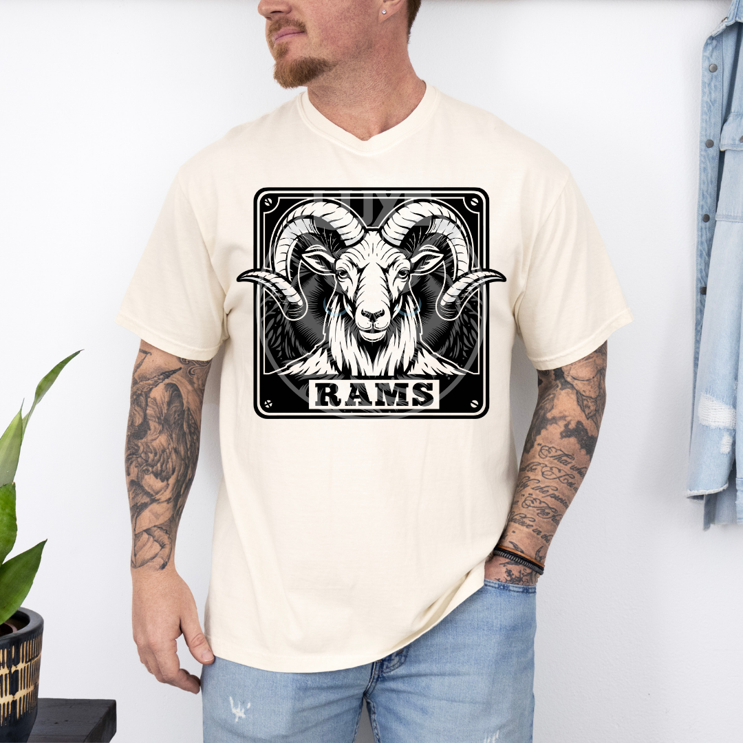 Rams 10 DTF Transfer